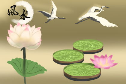 不仅仅是年支 日支也要堪！