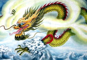 龙运起伏：哪一年最适合谈恋爱
