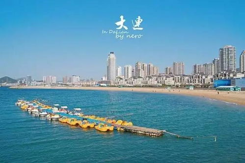 2.4 旅顺口区——历史爱好者的天堂（或者不是）