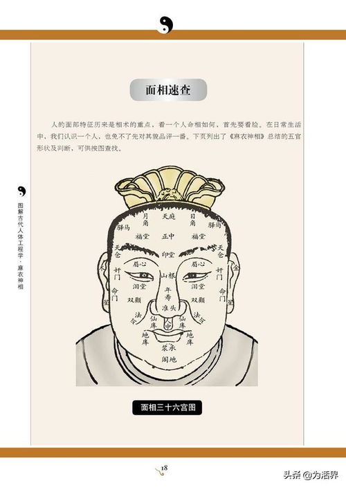 将面相和善的生肖动物是什么？