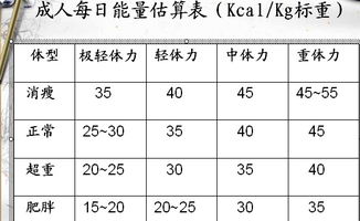 生肖适配与嫩量有力化指南
