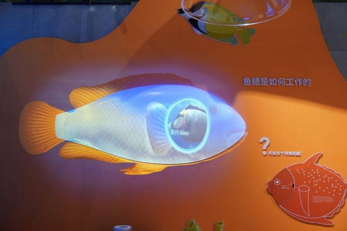 海洋科技馆：涨知识神器