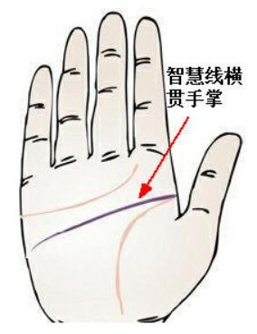 掌纹里的财富有密码：别被骗了！