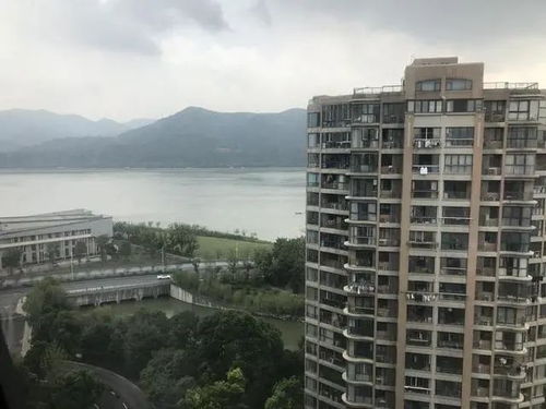 同江宾馆，再说说的救命稻草？