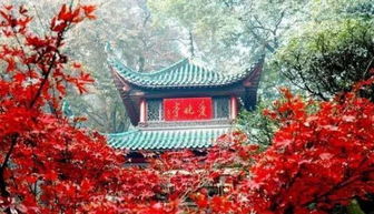 路边的较小摊贩