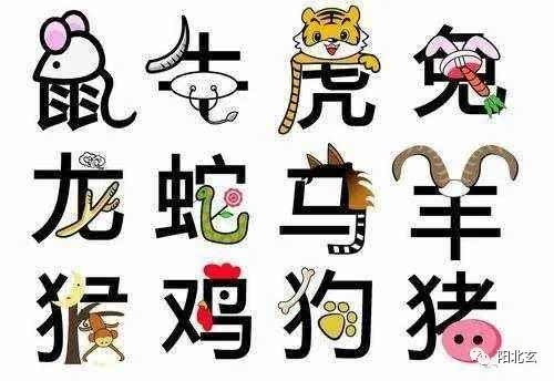 虎、兔：灵活多变的“水”与“火”之争