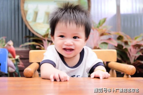 挑选高姓男孩名字的要点
