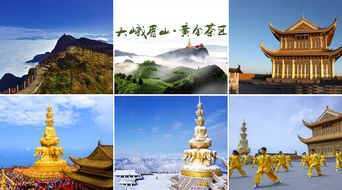 瘦西湖整活实录：数字门票能玩俄罗斯方块？