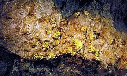 南非兰德金矿：地质奇迹与经济持续发展引擎