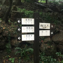 西泠印社：篆刻艺术的殿堂