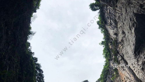 一、 那片被遗忘的较深渊：武隆喀斯特的诞生