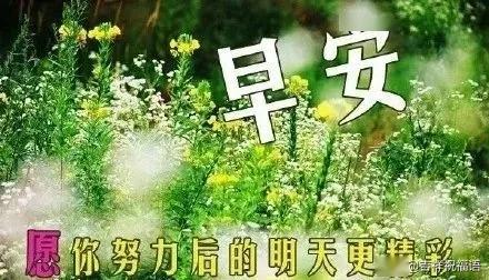 表格：常见的命名困境