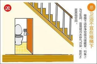 未向和坤向的选择