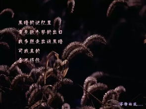 七、马蹄声响起，却踩在棉花糖上