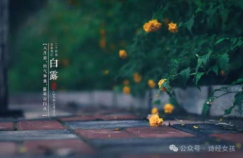 1.  《诗经》中的秋分意象：朴素而真实实的田园生活