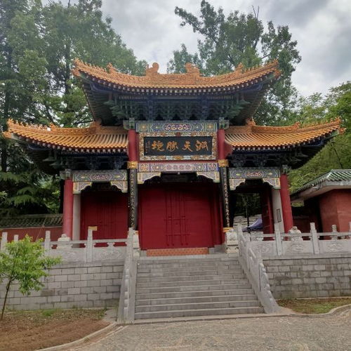 4. 自驾