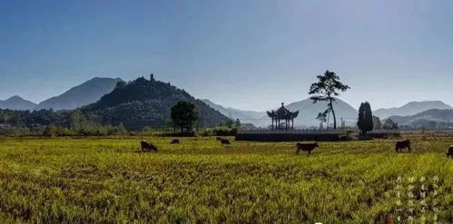 二、 核心景点巡礼