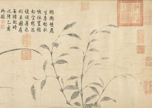 生肖相生相克？看完这篇你绝对会裂开！