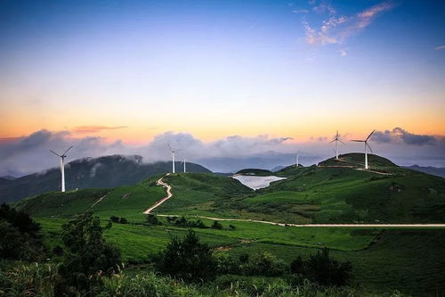 Day3：东白湖慢时光 返程