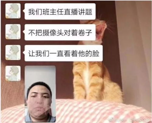 奇门遁甲：死门大开，生路何在