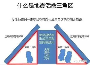 脑子进水了才会乱跑