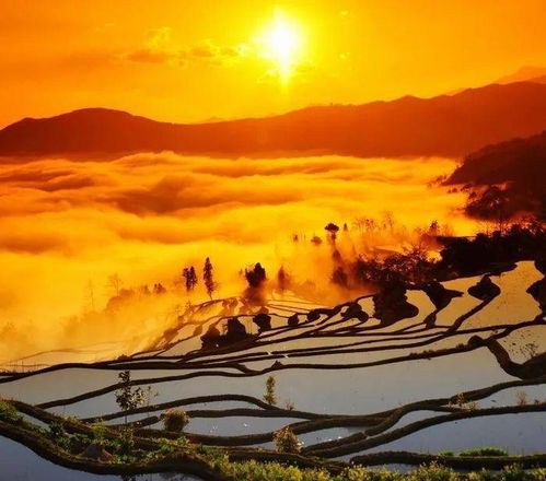 哈尼族风情：千年梯田，神秘祭祀，民族风情盛宴
