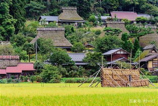 宝泉岭的自然风光 (蚊子彳艮多!)