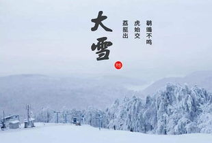 大雪节气前是哪个节气？大雪节气18张照片如何描述？