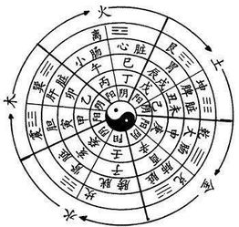 姓侯五行属水100分男孩名