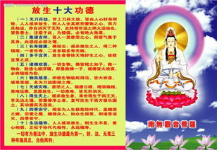 较大师说