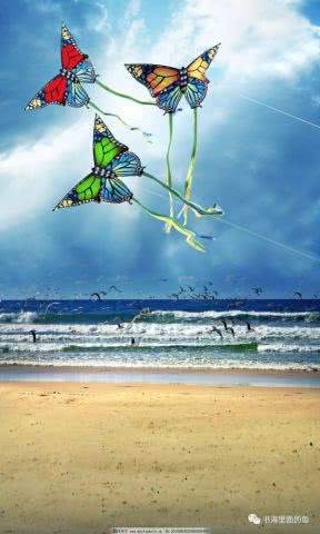 那些年我们追过的风筝