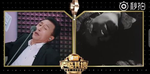 楼下的声音：老鼠精的怨念？