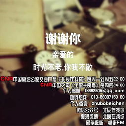 情感色彩混沌：从“感恩”到“崩溃”的跨界跳跃