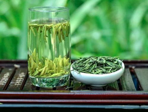 三、  龙井茶园，翠绿茶园
