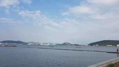 乐亭哪家浴池人气旺？——一场混沌的海滨狂想曲