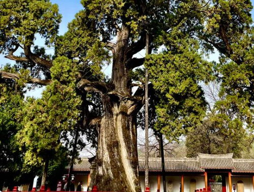 这不仅仅是一次旅行， 这是一场惯与时间的胡思乱想