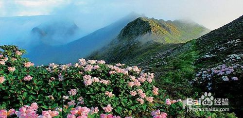 云南旅游？呵呵，别再当韭菜了！