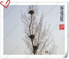 2. 寺院周边环境与人文氛围