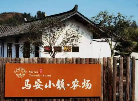 3. 历史博物馆 (Museum of History)