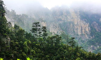 2. 特色餐厅
