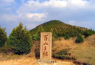 案例B：浙江莫干山森林康养+民宿集群