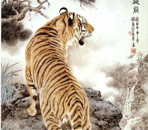 属虎男和哪个生肖最匹配？十二生肖婚姻配对大全