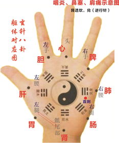 手臂有芭痕手掌风水有哪些具体案例？