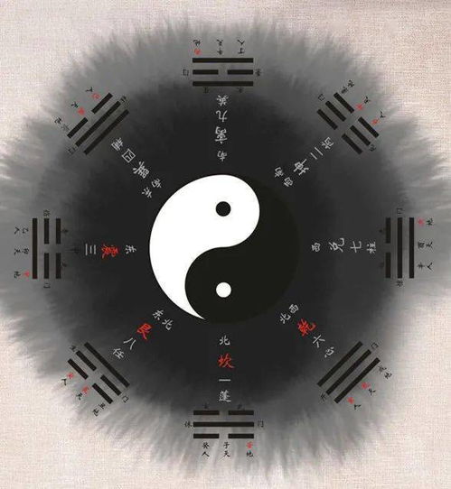 八字适合做什么生意,什么八字能做大生意