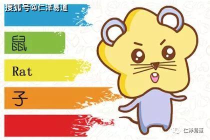 91年属羊女孩找对象，最佳婚配对象是哪年出生的？
