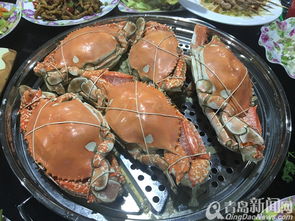 青岛海鲜市场环境较大盘点：哪儿是王炸？