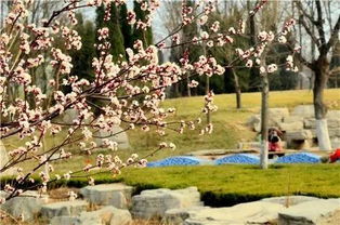 悦林湖的水上乐园 (水有点凉!)