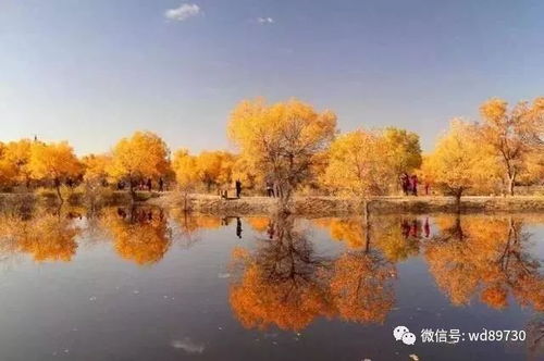 春天的“噪音”——三月到五月