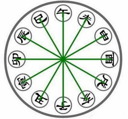 天干地支相同五行，四柱八字中天干地支对应关系如何改写？