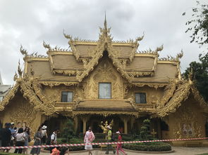 惯与停车这件小事